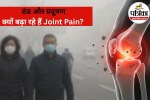 Pollution and Arthritis