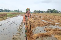 राहत कार्यों की रफ़्तार पर नजर: मुख्यमंत्री (फोटो सोर्स : Whatsapp Group)