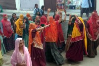 Rajasthan Mayra News