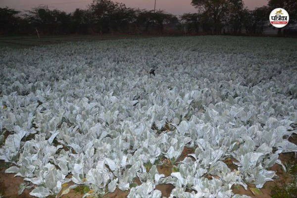 Rajasthan Weather Update