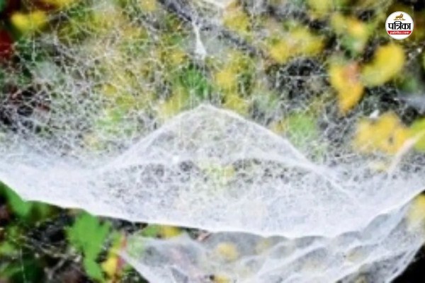 Rajasthan Weather Update 