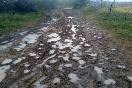 खेतों में जाने का रास्ता नहीं, हर बार उठाना पड़ता है नुकसान