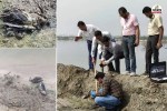 Rajasthan Sambhar Lake Migratory birds die mysteriously 15 found dead 13 injured samples sent to Jaipur and Bareilly