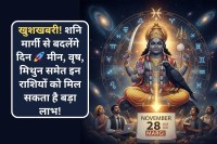 Shani Margi from November 28