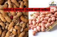 Soaked vs Roasted Peanuts