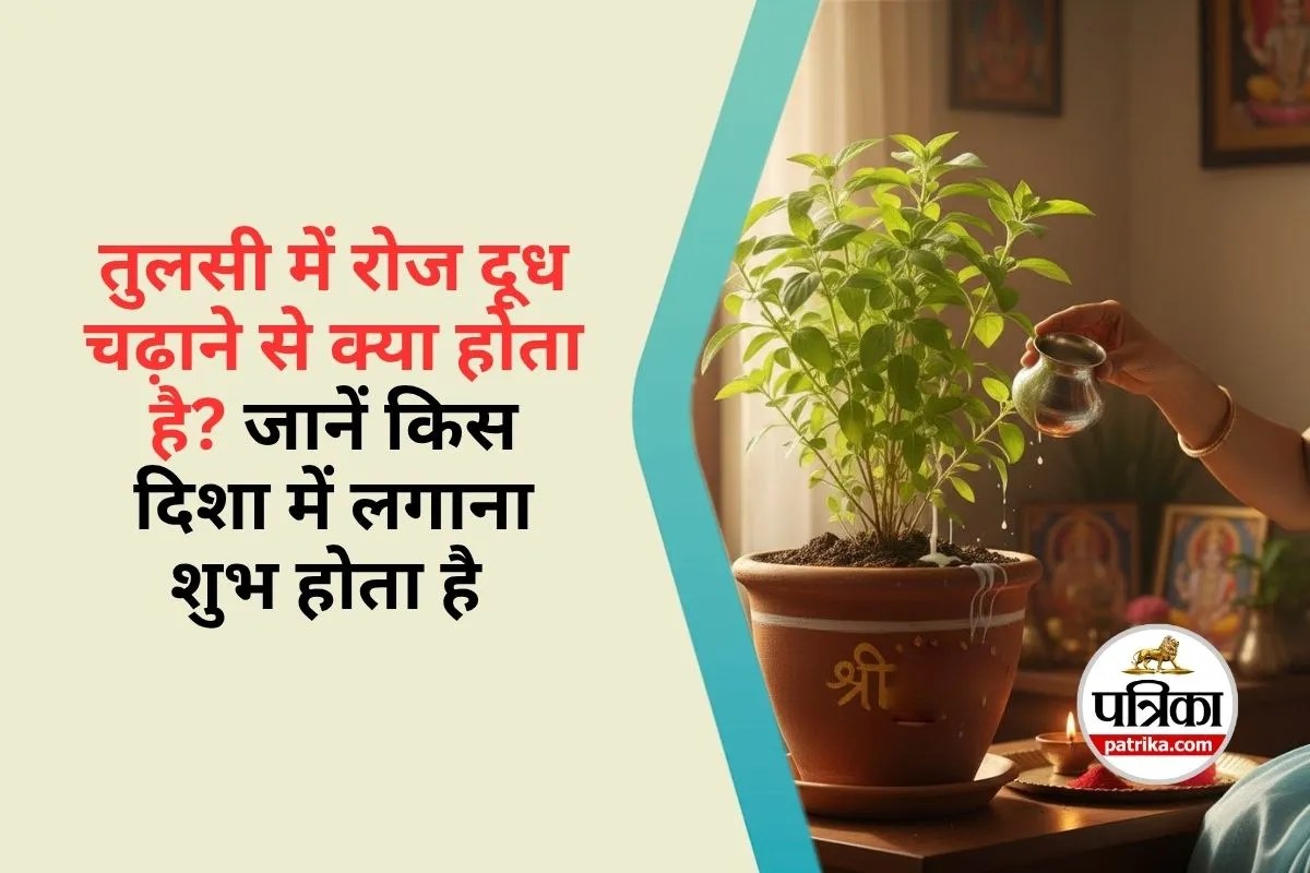 Tulsi Vastu Niyam
