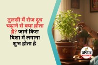 Tulsi Vastu Niyam