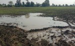 Open pipes from the Bina irrigation project repeatedly flooded the fields, resulting in crop failure twice.