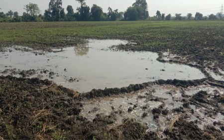 Open pipes from the Bina irrigation project repeatedly flooded the fields, resulting in crop failure twice.