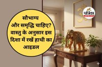 Vastu Tips for Elephant Idol
