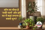 Vastu Tips for Plants