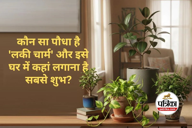 Vastu Tips for Plants