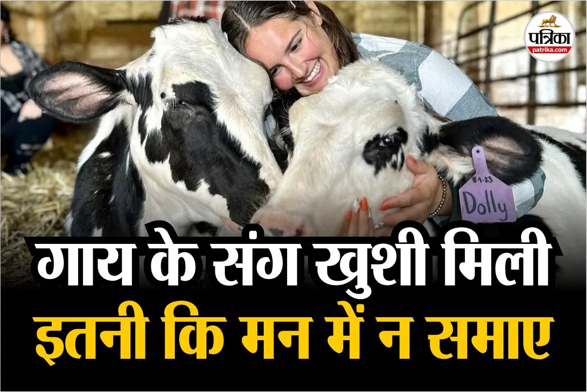 Cow Cuddling Therapy