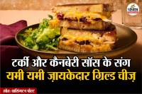 Thanksgiving Leftover Grilled Cheese