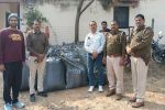 ATS-Police action in Bhilwara: 541 kg of doda chura seized