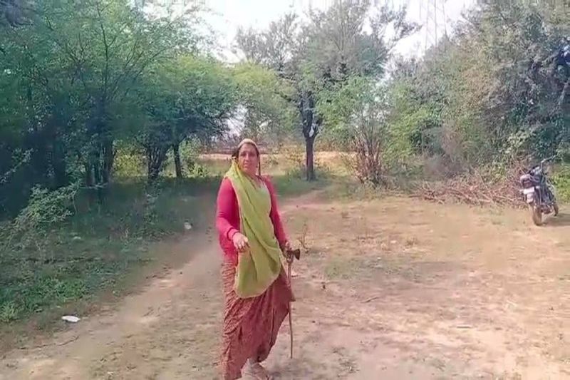 Shameful: Police arrested a woman who arrived at school with an axe.