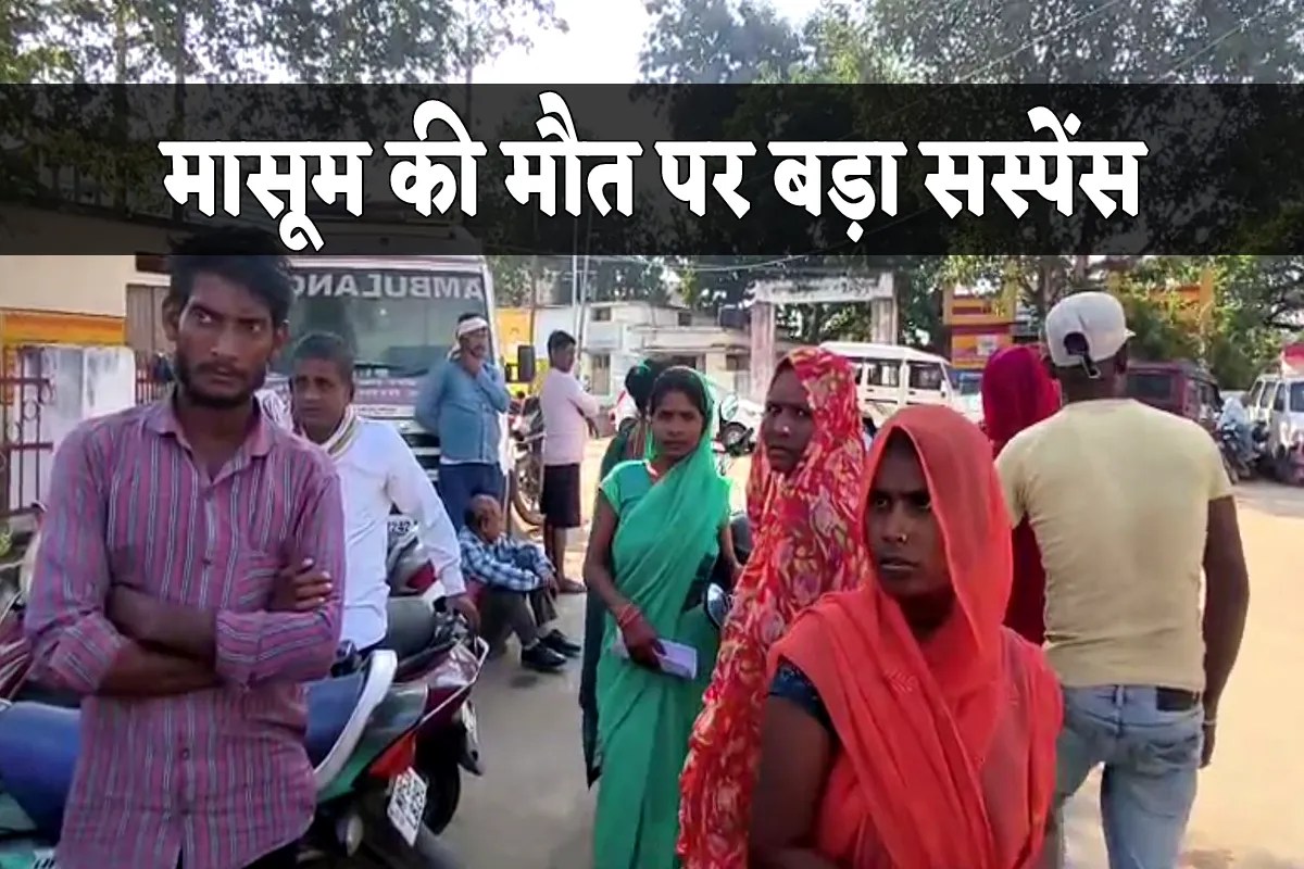 MP News
