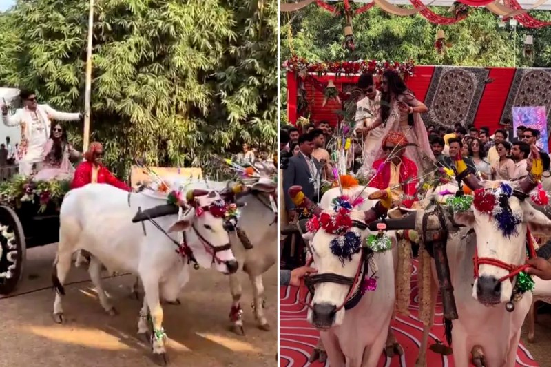 CM Mohan yadav Son Engagement