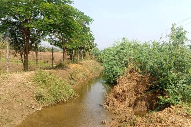बिना सफाई करवाए छोड़ दिया नहर में पानी, किसानों में रोष