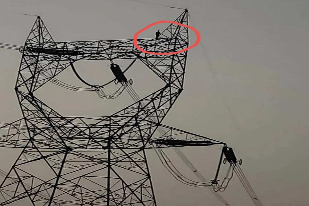 CG News: भाई ले गया मोबाइल, तो नाराज छोटा भाई चढ़ गया हाईटेंशन टॉवर पर, 2 घंटे तक चला ड्रामा