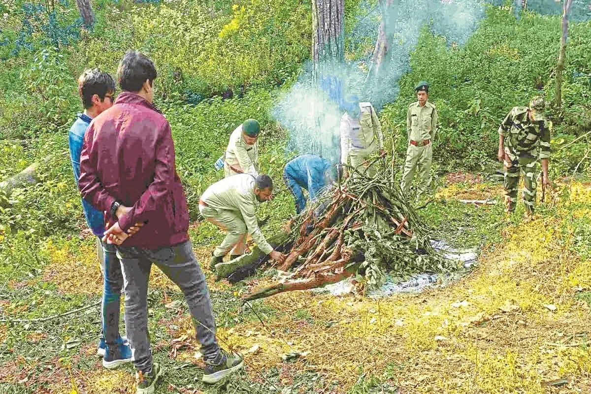 CG News: वन्यजीवों की सुरक्षा दांव पर, दो इंडियन बायसन का करंट लगाकर शिकार, पांच आरोपी गिरफ्तार