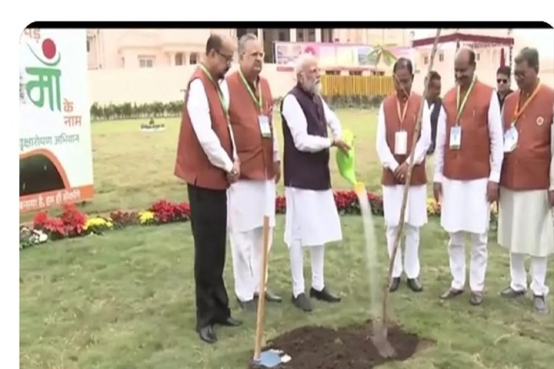 PM Modi Visit CG: प्रधानमंत्री नरेंद्र मोदी ने रायपुर विधानसभा परिसर में लगाए रुद्राक्ष का पौधा, पद्म विभूषण तीजन बाई को किया फोन..