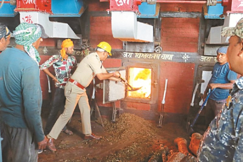 CG News: ड्रग डिस्पोजल कमेटी की कार्रवाई, 1 करोड़ से अधिक का गांजा भट्ठी में किया नष्ट