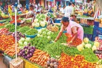 Vegetable Price: ठंड बढ़ते ही सब्जियों की लोकल आवक बढ़ी, सब्जियों के दाम गिरे, आम लोगों को मिलेगी राहत