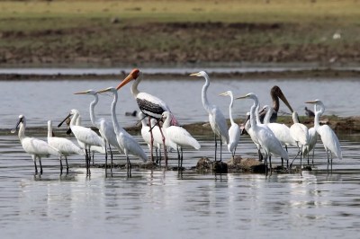 Short video poster image