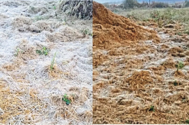 CG News: चिल्फी घाटी में कड़ाके की ठंड का असर, ओस की बूंदें सफेद चादर में तब्दील, 8 डिग्री तक पहुंचा तापमान