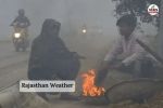 Weather Update Meteorological Department Prediction Today Rajasthan these four districts cold wave yellow alert