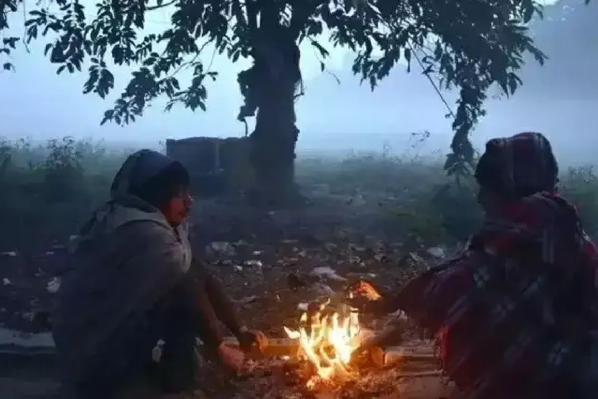 bhopal cold wave relief temperature rise mp weather news