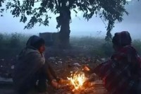 bhopal cold wave relief temperature rise mp weather news