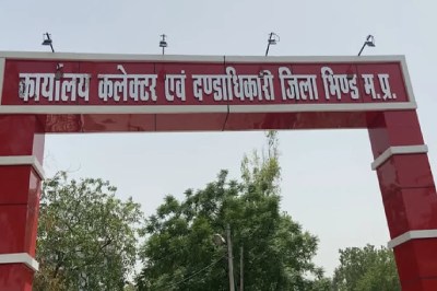 bhind collector cancels 25 arms licenses controversy highcourt mp news