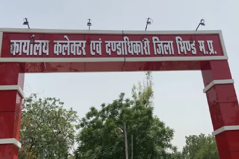 bhind collector cancels 25 arms licenses controversy highcourt mp news