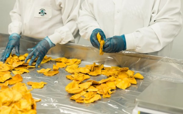 food processing units pm micro food industry upgradation scheme barwani mp news