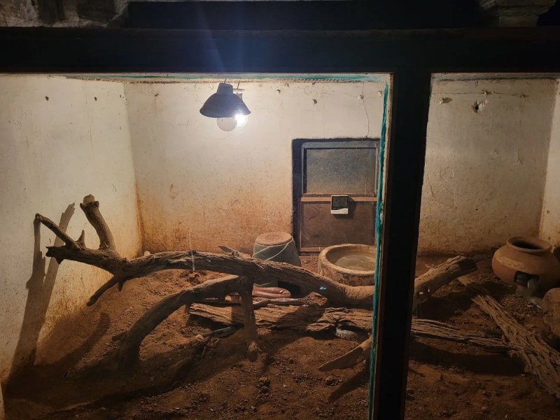 गांधी प्राणी उद्यान: एक सप्ताह से की जा रही व्यवस्था