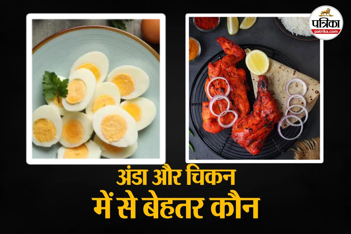Chicken vs Eggs for Fitness, Chicken or Eggs, Which is Better for Weight Loss,