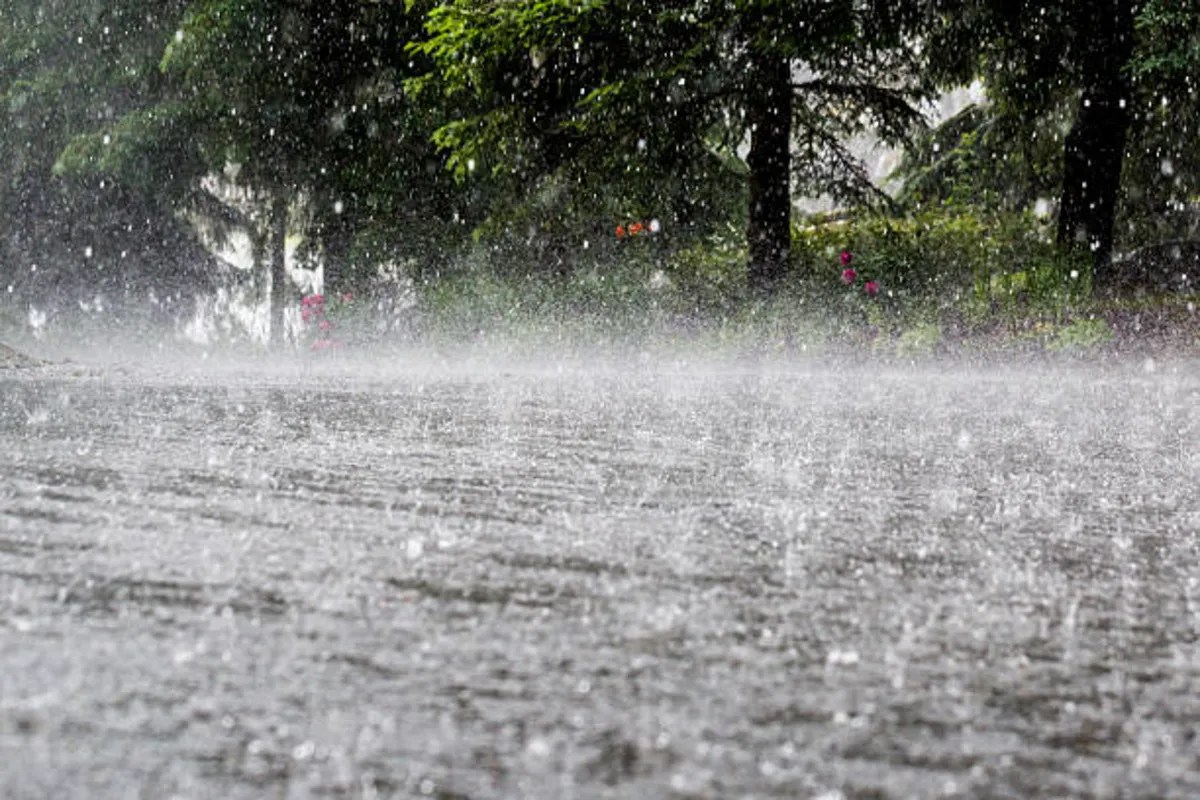 IMD issues Heavy Rain Alert