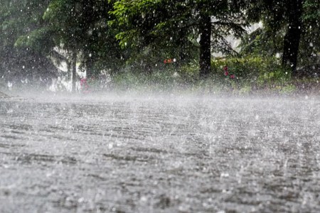 IMD issues Heavy Rain Alert
