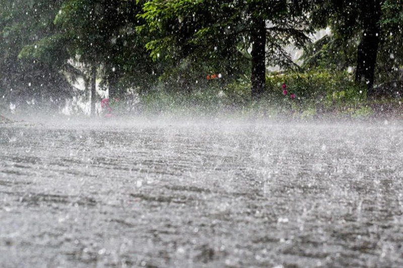 IMD issues Heavy Rain Alert