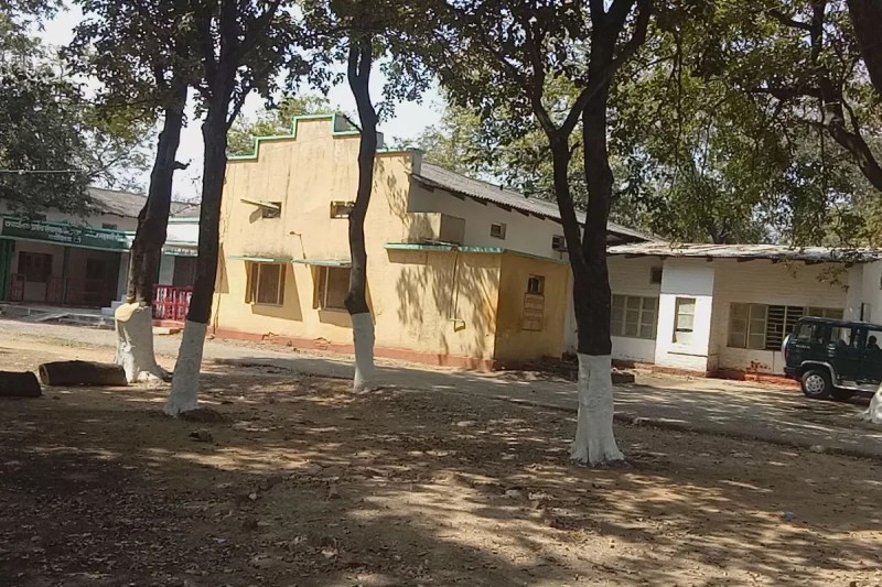 TA-DA payments scam chhindwara West Forest Division mp news