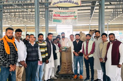 संगरिया में सरकारी खरीद का शुभारंभ करते किसान व सोसायटी प्रतिनिधि।