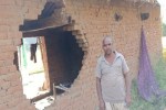 anuppur elephant attack farm destruction houses damaged mp news