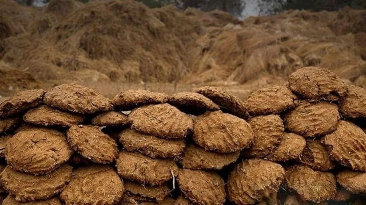 वाराणसी में हर महीने खरीदा जा रहा 2000 टन गोबर