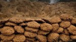 वाराणसी में हर महीने खरीदा जा रहा 2000 टन गोबर