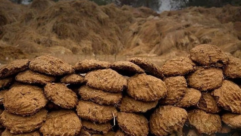 वाराणसी में हर महीने खरीदा जा रहा 2000 टन गोबर