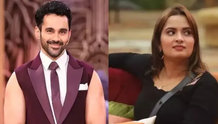 Abhishek Bajaj and Neelam Giri eliminated from show