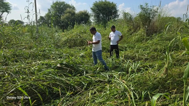 Officials inspecting damaged crops, Patrika Photo