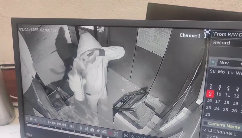 image e52bc2 image e52bc2